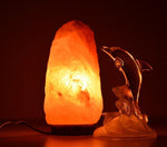 2-3kg Himalayan Salt Lamp (Timber Base)