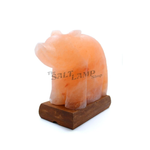 Polar Bear Salt Lamp (Timber Base)