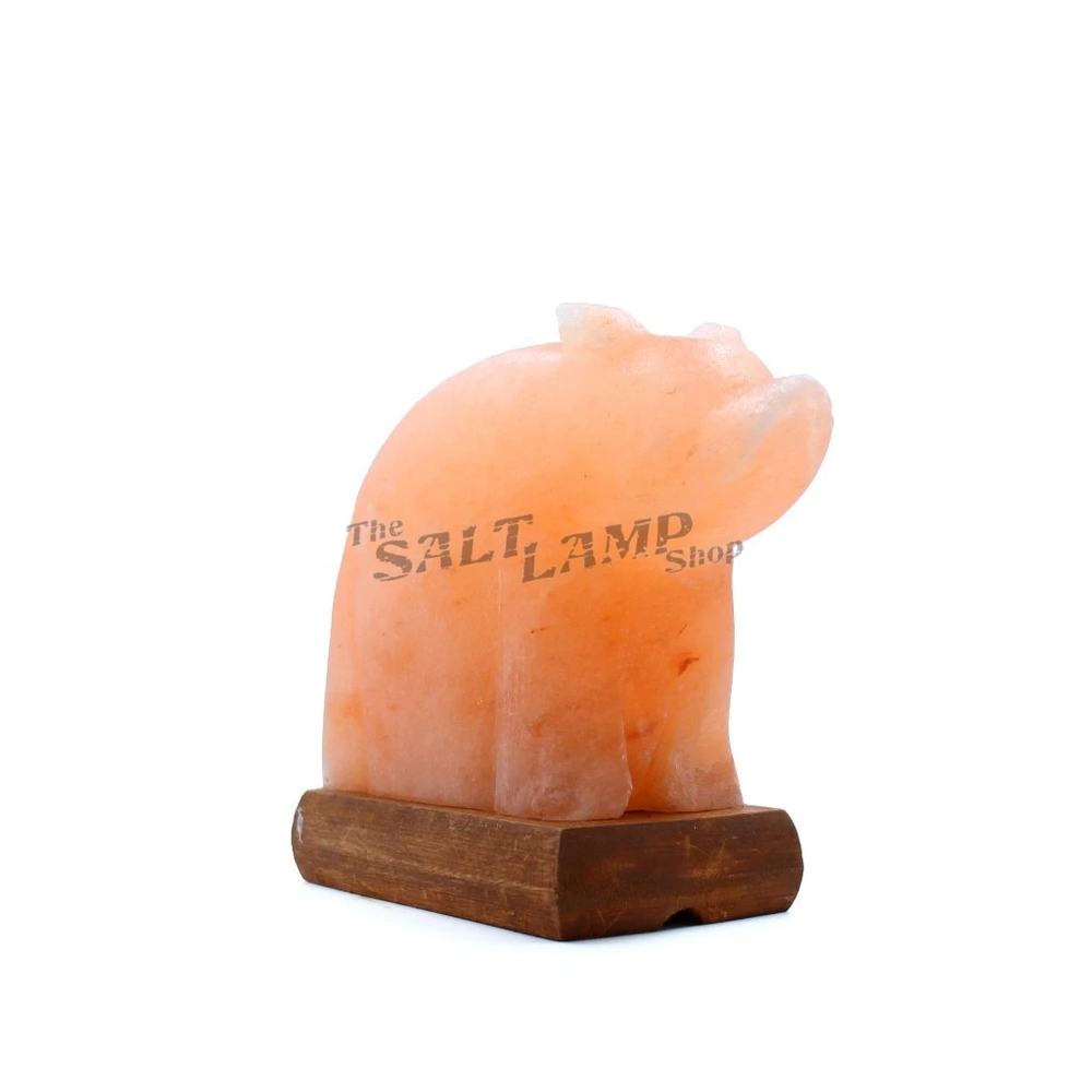 Polar Bear Salt Lamp (Timber Base)