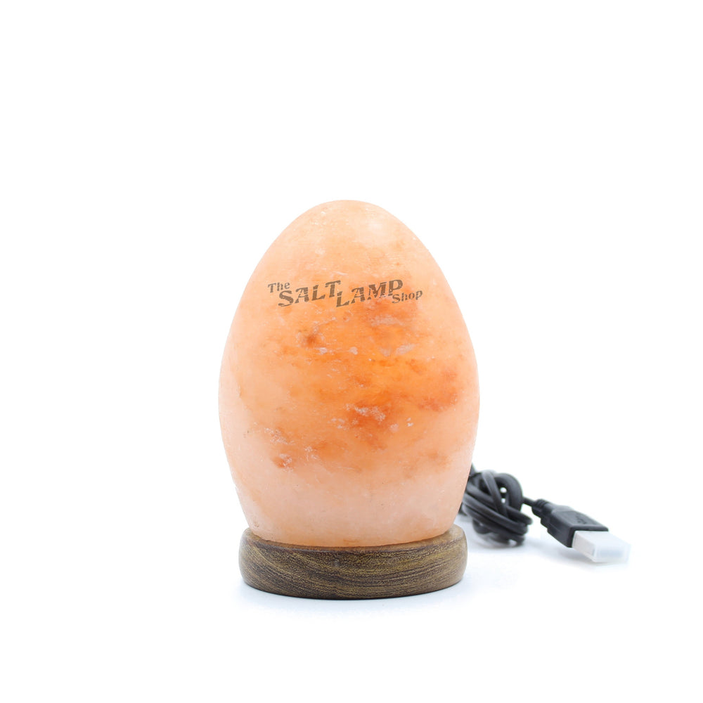 Egg USB Salt Lamp (Timber Base)