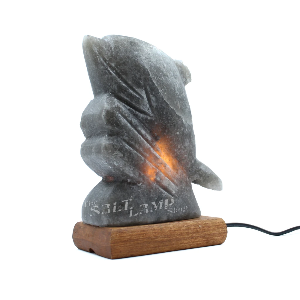Rare Grey Himalayan Salt Dolphin Lamp (Timber Base)