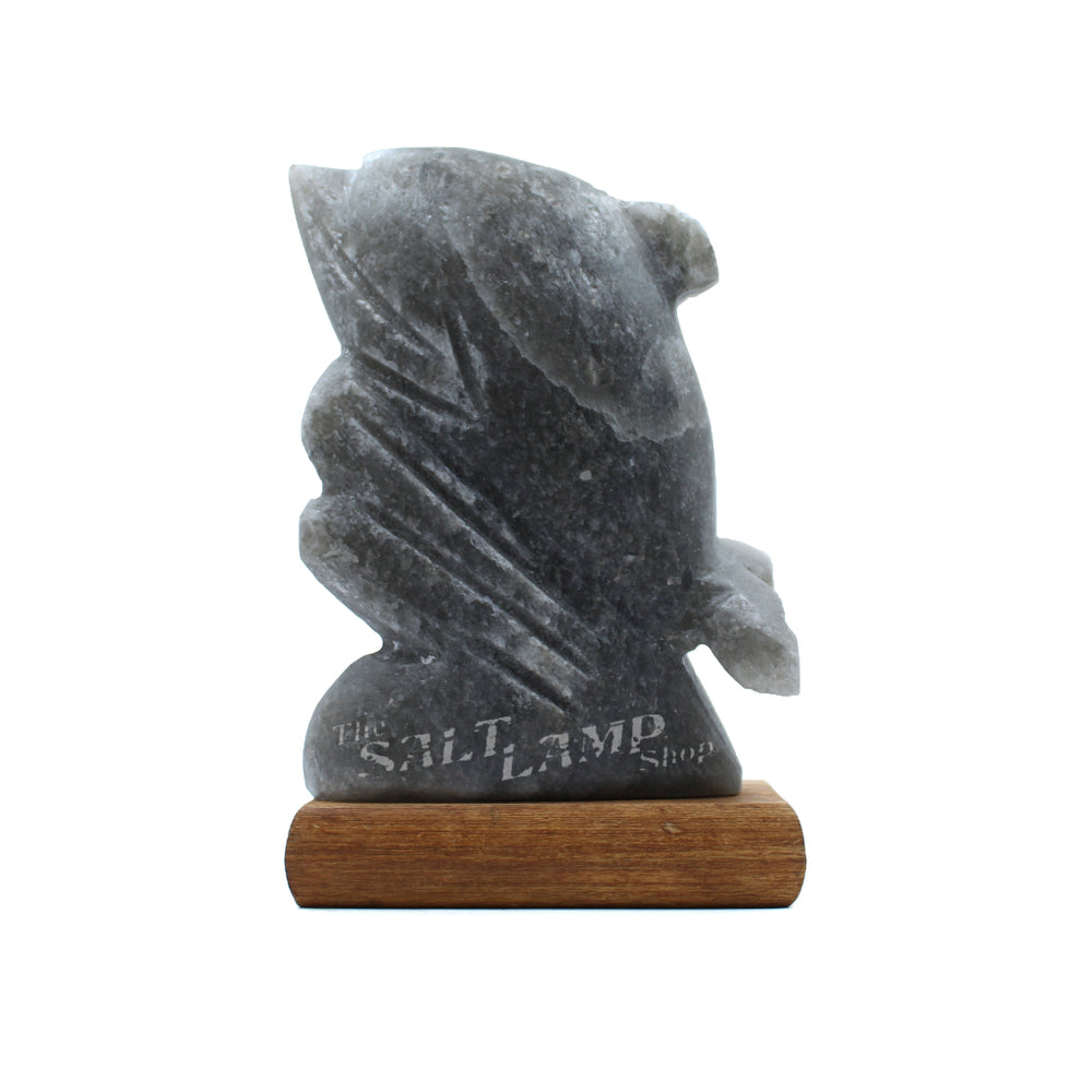 Rare Grey Himalayan Salt Dolphin Lamp (Timber Base)