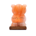 Owl Salt Lamp (Timber Base)