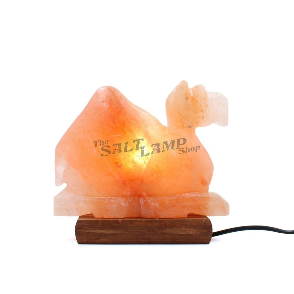 Camel Salt Lamp (Timber Base)