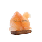 Camel Salt Lamp (Timber Base)