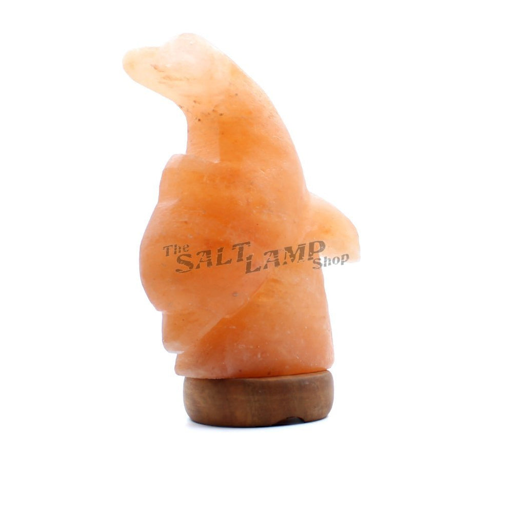 Diving Dolphin Salt Lamp (Timber Base)