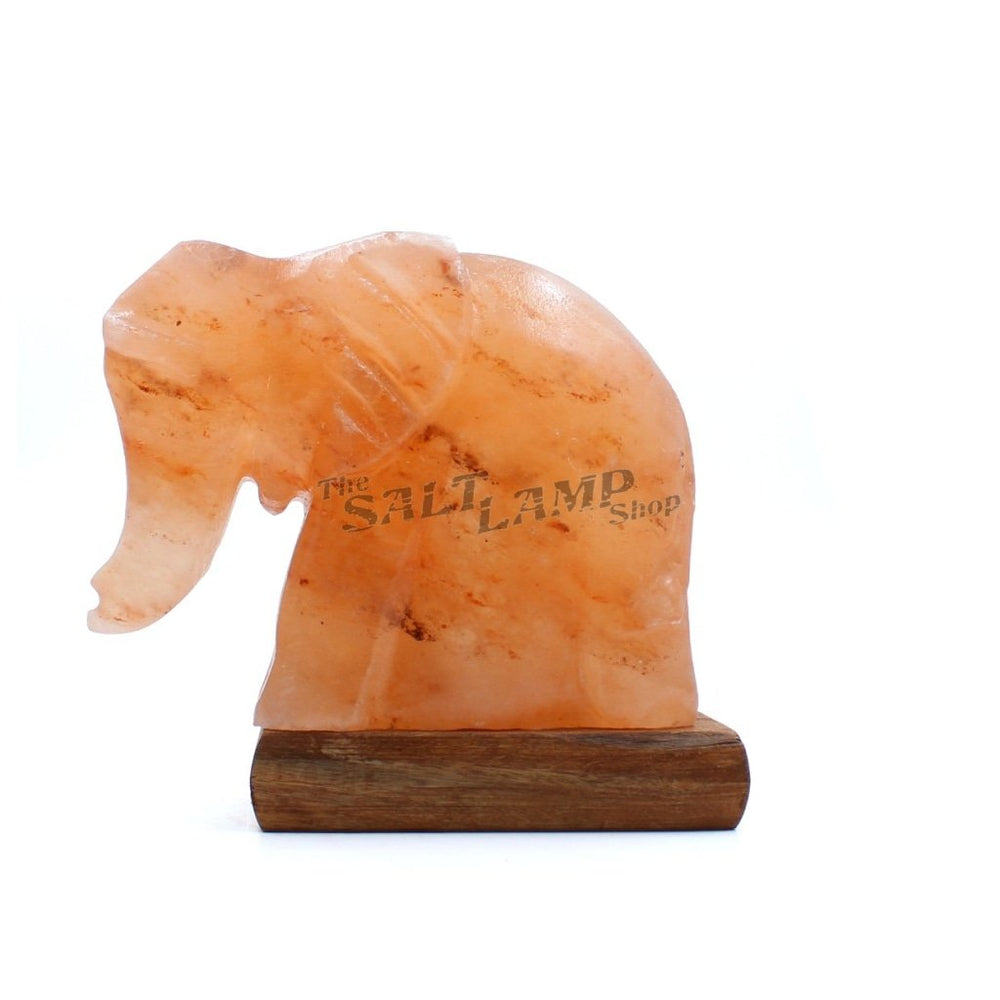 Elephant Salt Lamp (Timber Base)