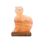 Cat Salt Lamp (Timber Base)